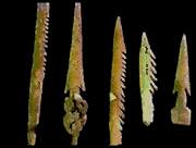 Foto: Arpones de hueso